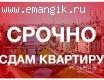 СДАМ ТРЕХКОМНАТНУЮ КВАРТИРУ В ЦЕНТРЕ