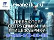 Разнорабочий на сортировку яиц