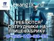 Разнорабочий на фасовку яиц