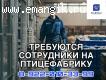 Требуются сотрудники на фасовку яиц